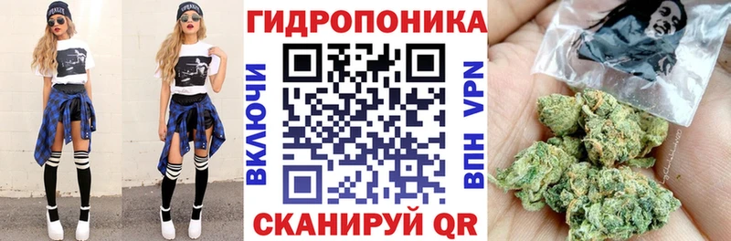 А ПВП Куровское