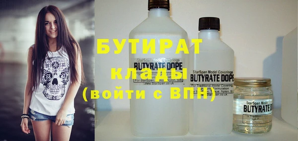 шишки Каменногорск