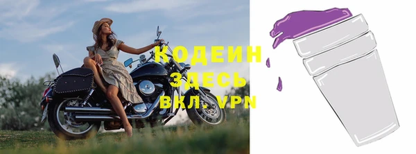 гидра Каменка