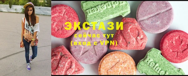 гидра Каменка