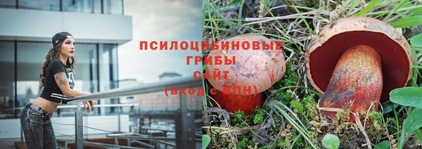мет Касимов