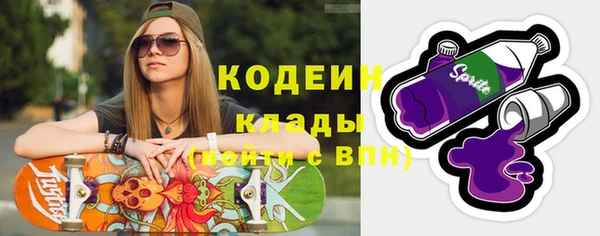 гидра Каменка