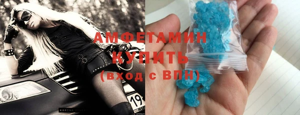 шишки Каменногорск