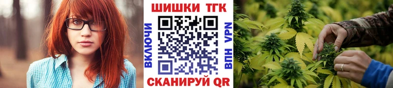 Каннабис OG Kush Куровское